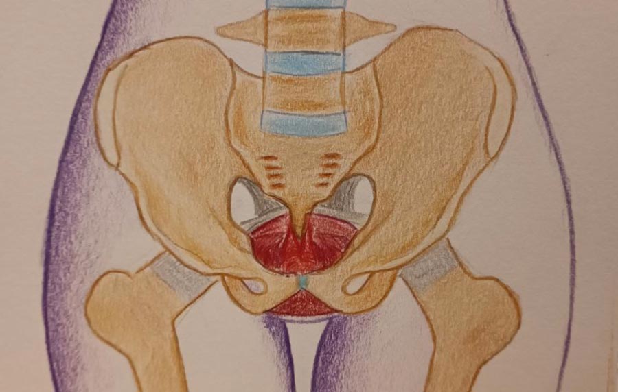 CURSO DE SUELO PÉLVICO
