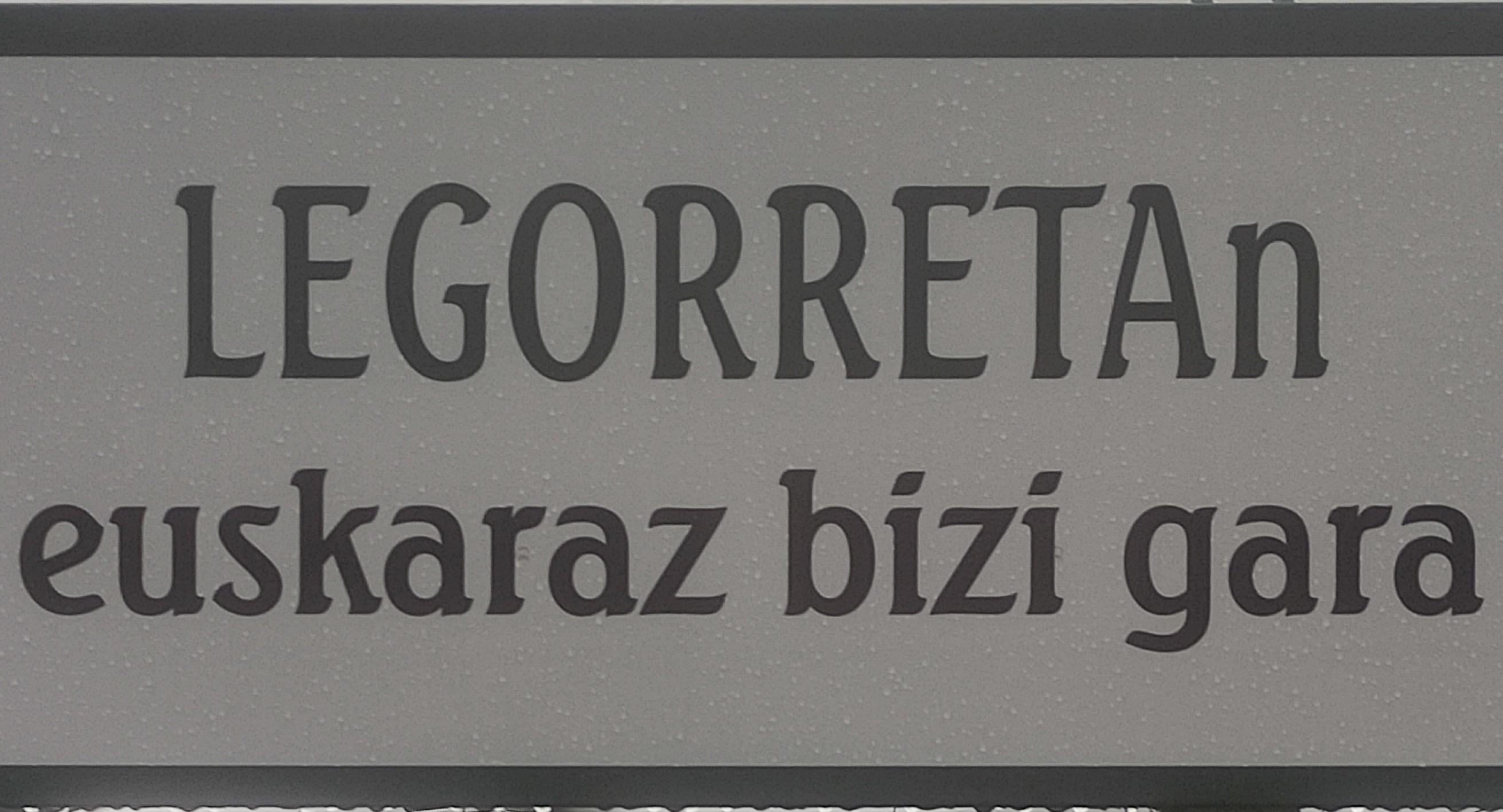 Herriko euskararen egoerari buruzko saio irekia egingo da gaur arratsaldean