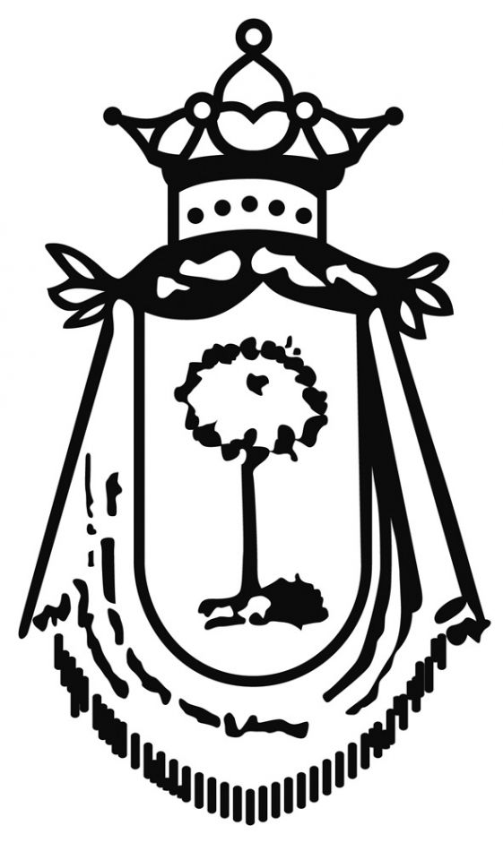 Solicitud de bonificación en el impuesto de bienes inmuebles por familia numerosa