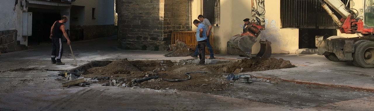 Se han derribado dos árboles en la plaza y se colocará una fuente