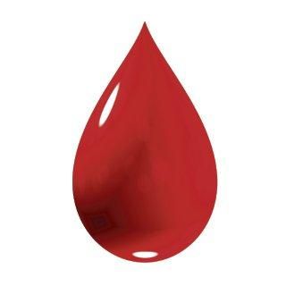 103 legorretarras han ido a donar sangre